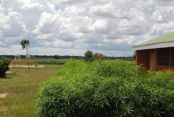 A view from Nsaru Secondary School